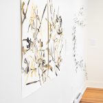 Installation view 
Genevieve Roberston's Fireweed and Maggie Shirley's Little Swimmers 
2026