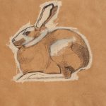 Hare study for PINKMixed media/paper 18"x24"
