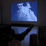 SALT project - installation view of Julie Castonguay's Ephemeral