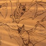 Detail of bat house 
Pyrography by Jim Holyoak 
2026