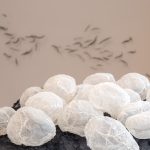 Seeing through stone 
Carol Wallace 
2026