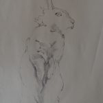 Hare 
2021 
graphite on newsprint 
18" x 24"