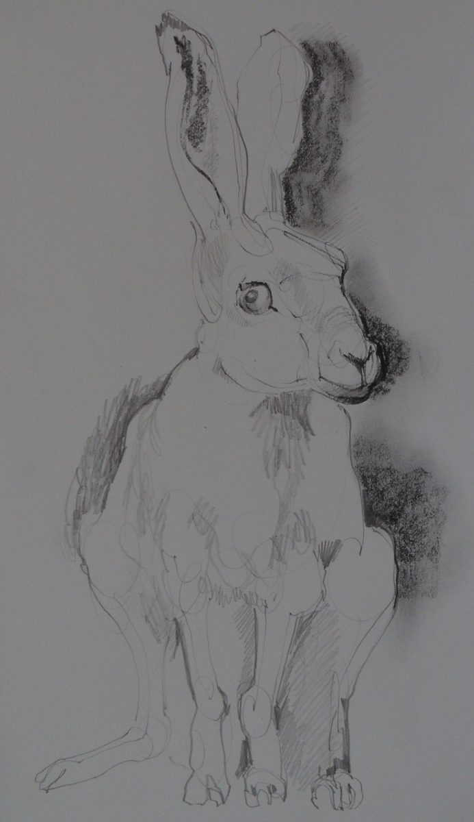 Hare #2  2021  15"x 24"