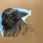 Crow 2022 Graphite and oil bar