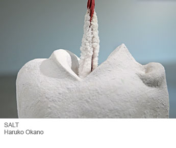 SALT project detail of Haruko Okano