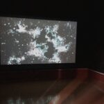 Video installation of Night Ritual in West Gallery